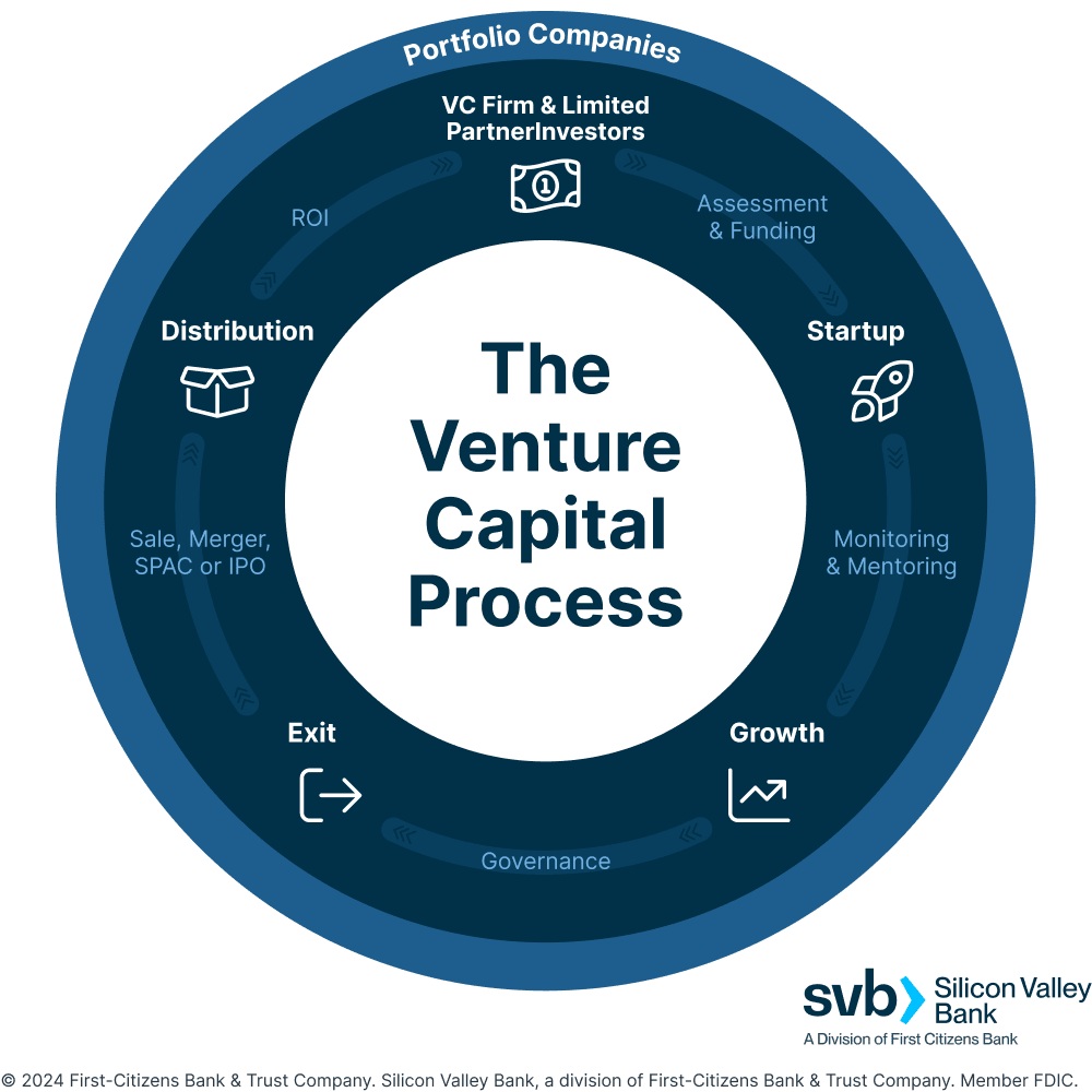 Infographic illustrating the venture capital process cycle, highlighting key stages including assessment and funding by VC firms and limited partner investors, startup monitoring and mentoring, growth management, governance oversight, exit strategies, and distribution through sales, mergers, SPA Cs, or IP Os.
