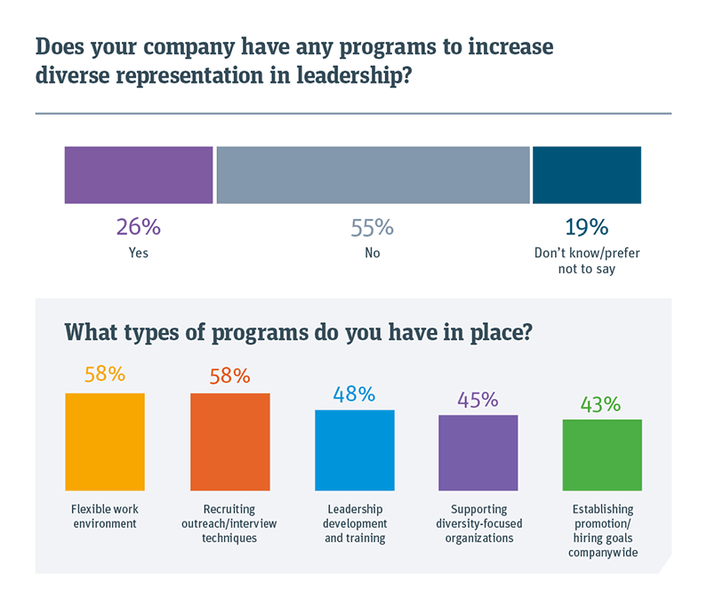 Chart showing if your company has any programs to increase diverse representation in leadership