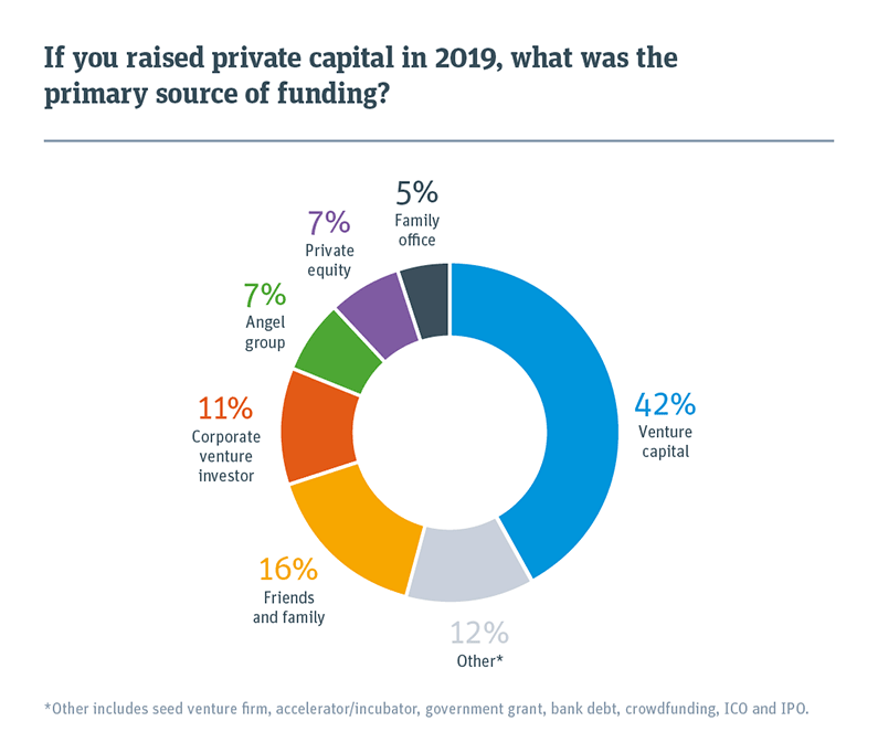 Pie chart showing primary source of funding for private capital that was raised in 2019