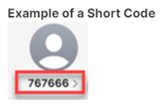 imagetddy 5. png