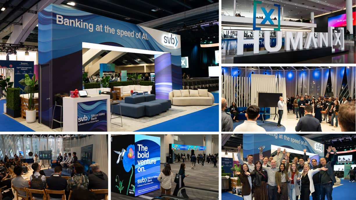 Human X Collage V 6 b