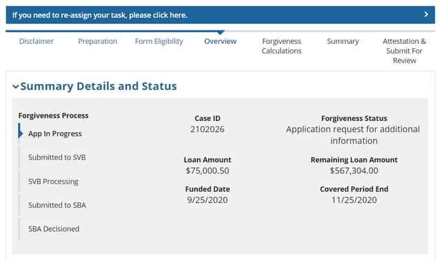 ppp forgiveness summarydetails status s