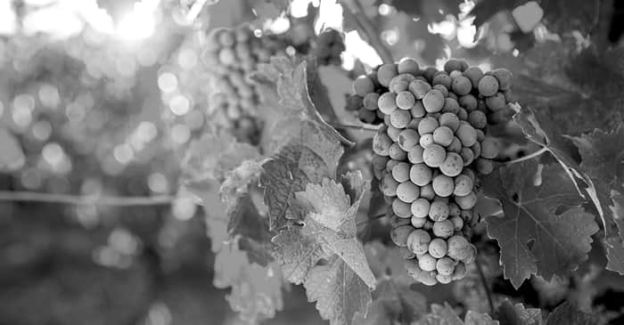 SOTWI Report heroimage