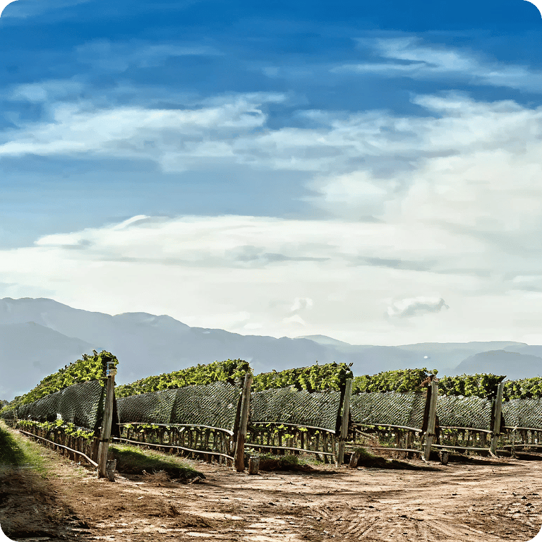 Financing Solutions V 2