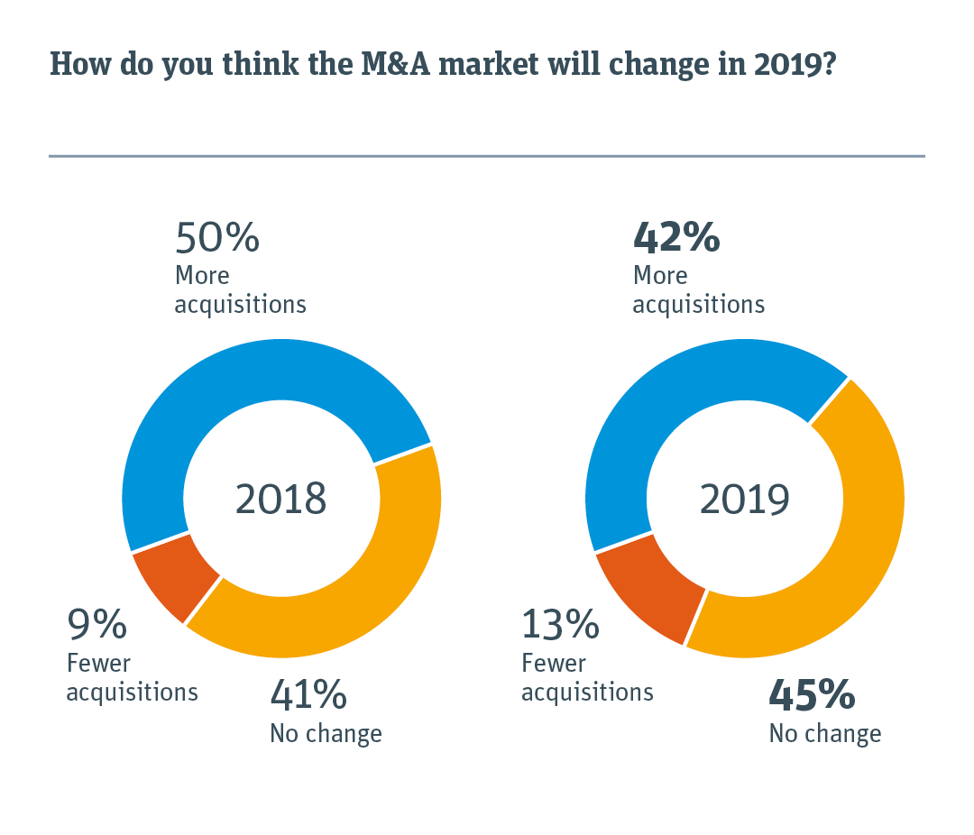 Pie chart illustrating how the M& amp; A market will change in 2019.