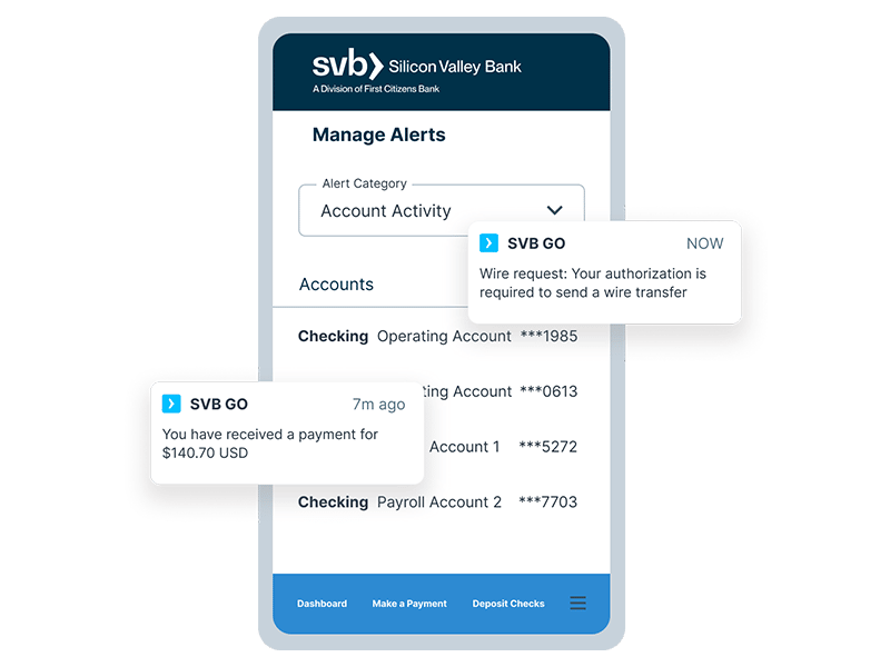 SVB Go Move Money
