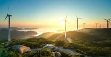 windmill 2024