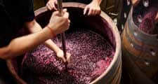 2018 wine report image 225 x 120