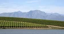 2020 wine report image 225 x 120