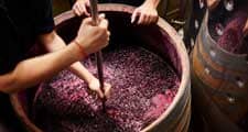 2018 wine report image 225 x 120