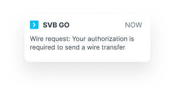 svbgo alert 1