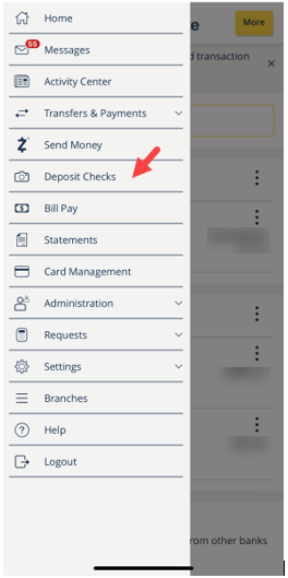 Deposit Checks Menu Option