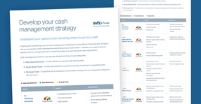 Cash Management Strategy