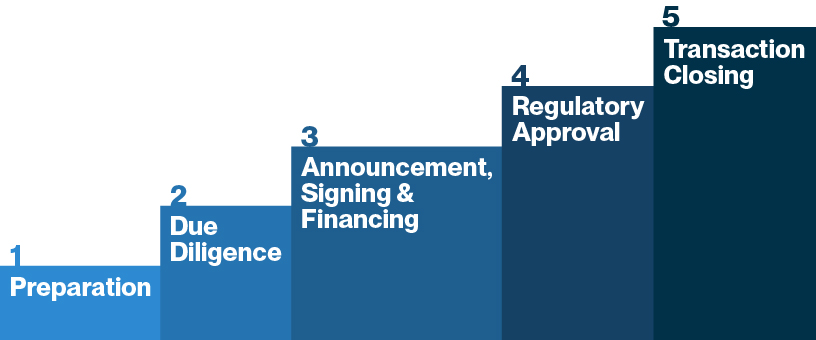 Managing Currency Risk Chart: Phases 1-5