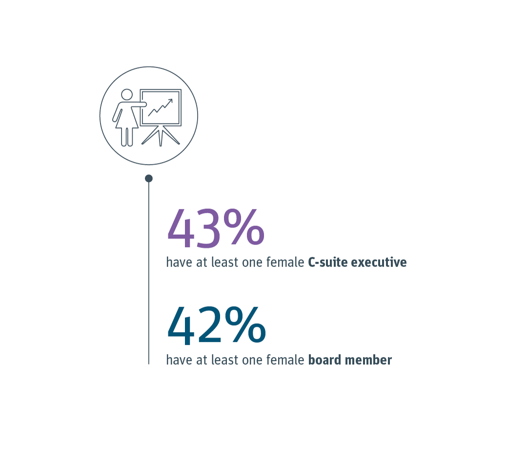 % of female C-suite executives and female board members