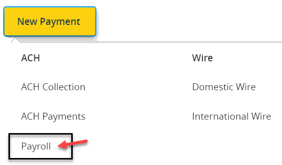 New payment menu select payroll