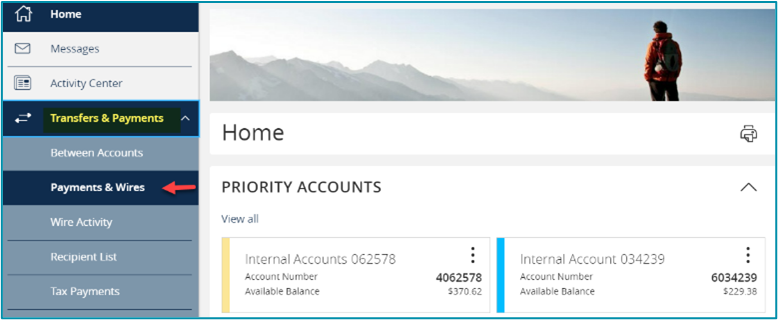 Transfer Payments menu select Payments Wires