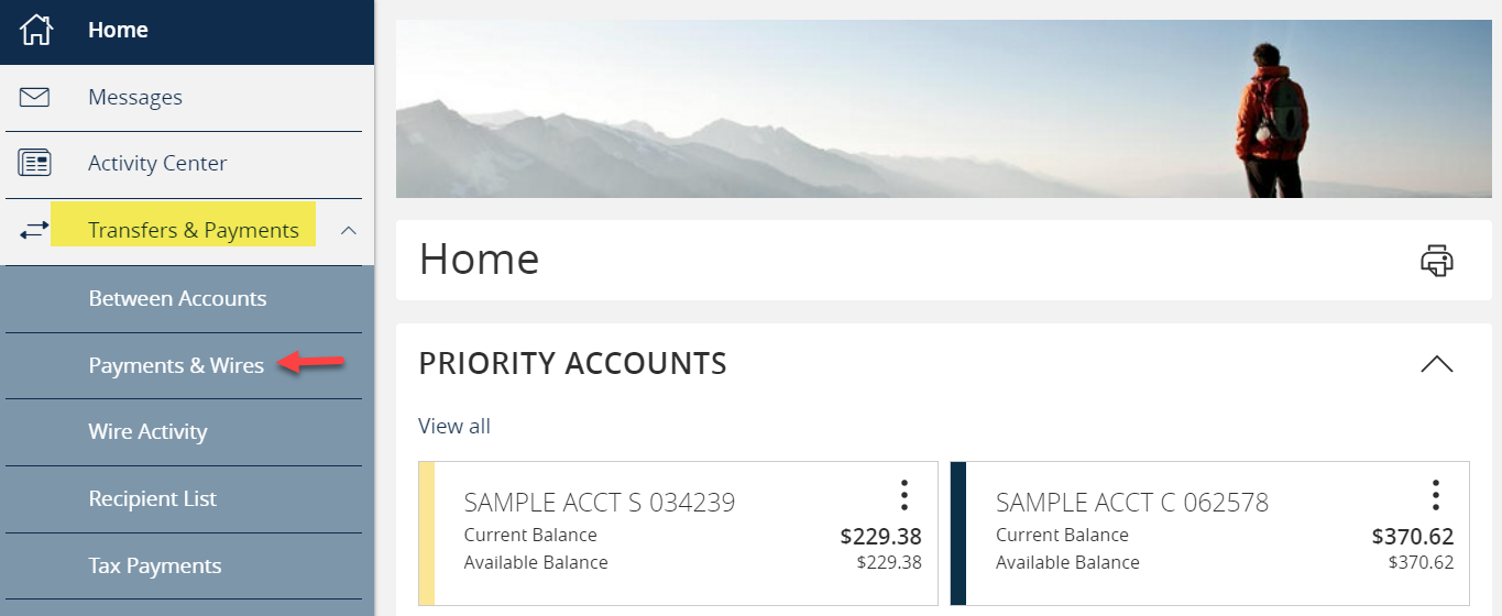 Transfer and Payments then select Payments and Wires