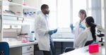 Scientists In Meeting At Laboratory meta 560x292
