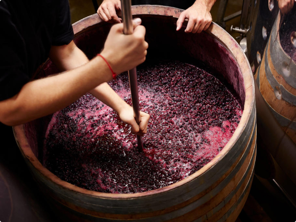 WWH Wine module2@1x