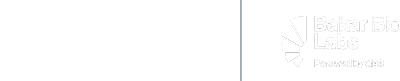 SVB Bakar Logo Lockup 400 px