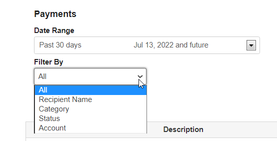 Filtered options for searching