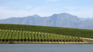 Image 6 - Vineyard 298 x 168 .jpg