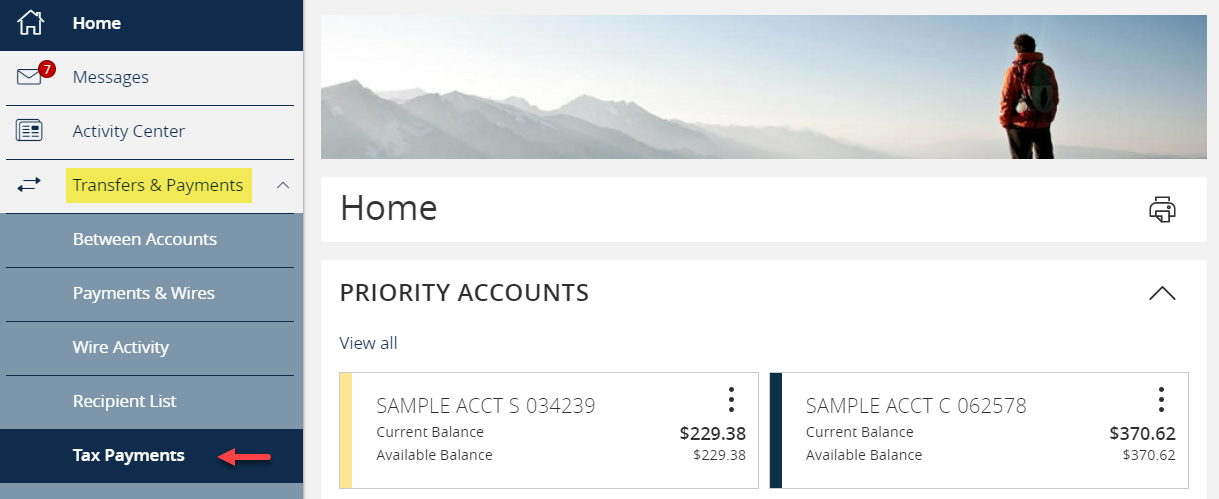 Transfer and payments then tax payments