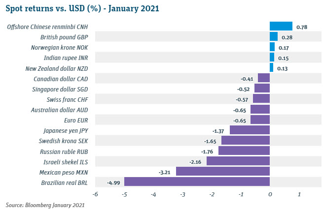 Spot Returns vs USD January 2021