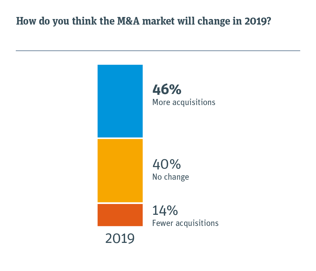 Chart illustrating how M&A market will change in 2019.