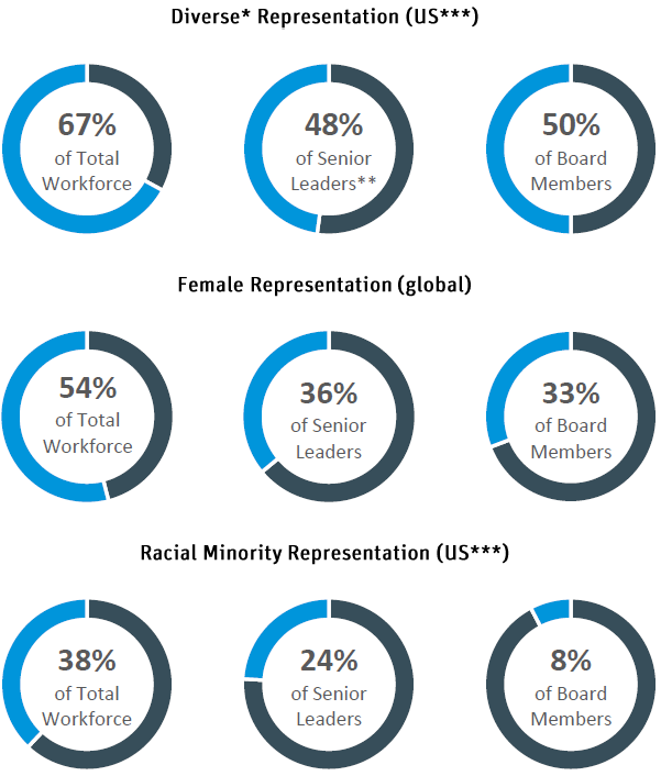 DI Small Pie Chart Image.png