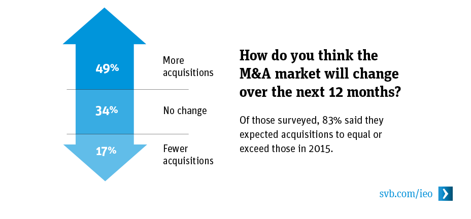 How do you think the M&A market will change over the next 12 months? How do you think the M&A market will change over the next 12 months?