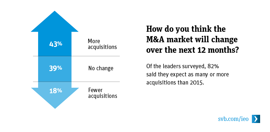 How do you think the M&A market will change over the next 12 months?