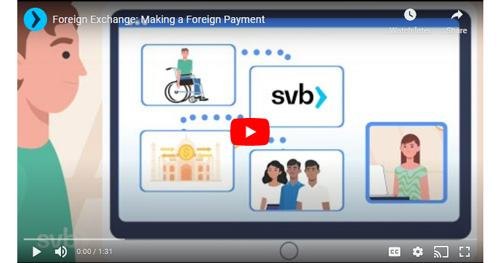 Making a foreign payment video